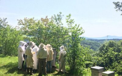 Réunion d&rsquo;information : Formation 2026