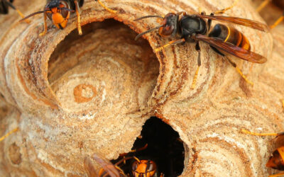 Formation FUN du 02 Fév 2026