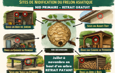 Référents FUN, Vallée de Villé